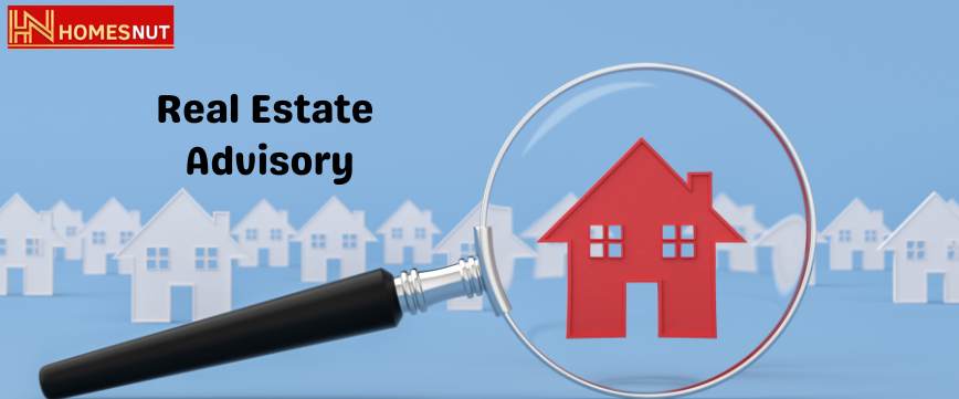 Homesnut Real Estate Advisory 